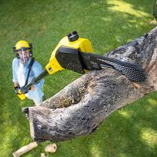 Best Pest Control for Lawns  in Watauga, TX